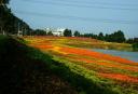 福建漳州郊野公园