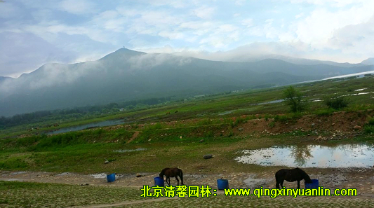 清馨园林市场部团队建设活动顺利举行